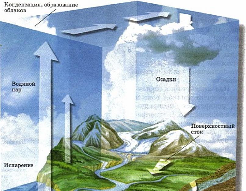 Де у природі міститься вода.  Які види води бувають?  Різні види та властивості води.  Пептиди у косметології