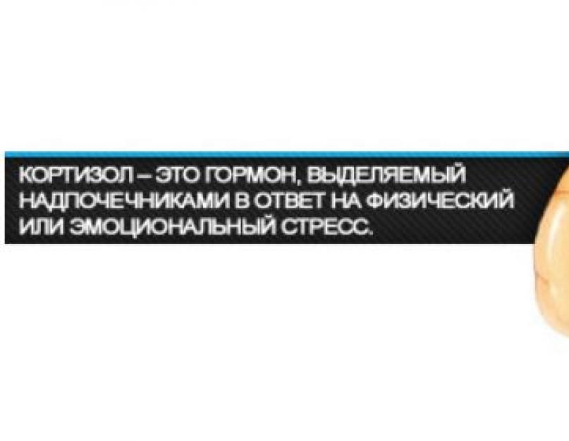 Що це таке кортизол: все про гормон стресу.  Що таке кортизол