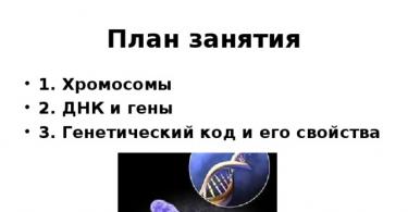 Генетична інформація у клітці