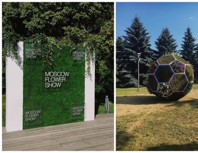 6ème festival international des jardins et kvitiv.  Somiy Moscou festival de kvitiv à Muzeon.  Médaille d'or dans la nomination 
